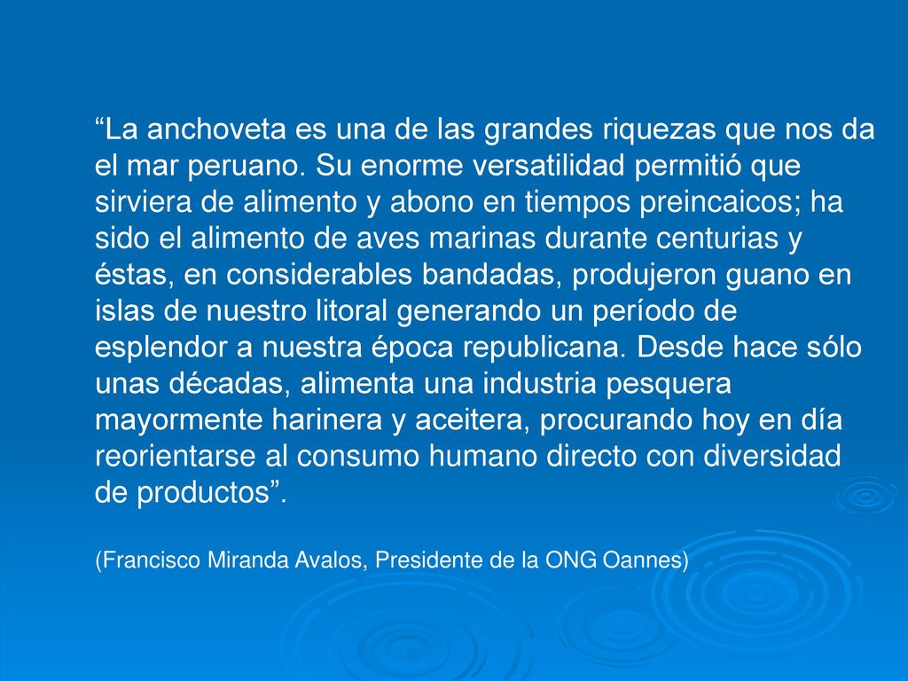 La anchoveta es una de las grandes riquezas que nos da el mar peruano
