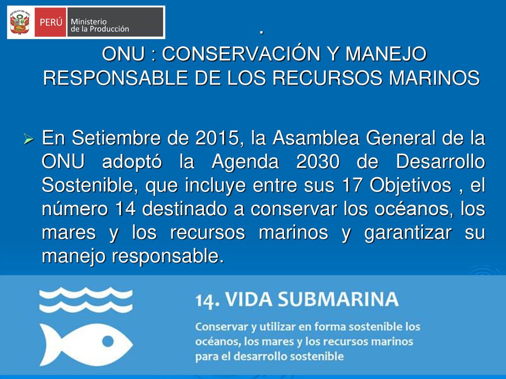 . ONU : CONSERVACIÓN Y MANEJO RESPONSABLE DE LOS RECURSOS MARINOS