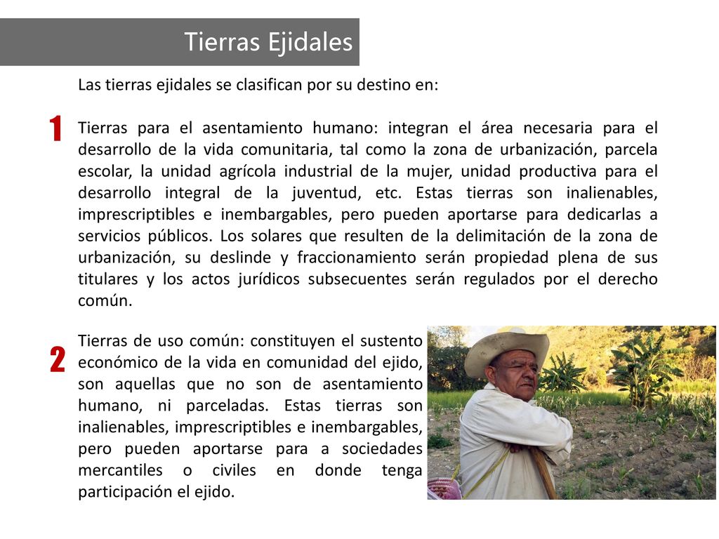 Tierras Ejidales Las tierras ejidales se clasifican por su destino en: