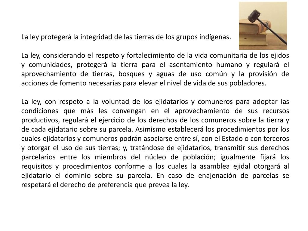 La ley protegerá la integridad de las tierras de los grupos indígenas.