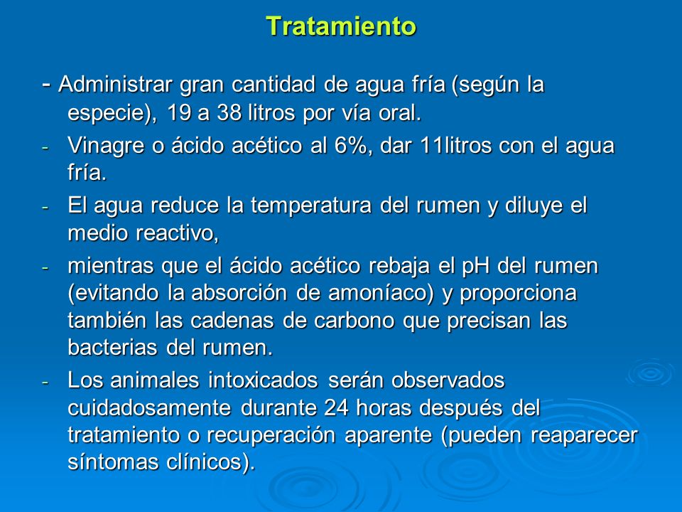 Tratamiento - Administrar gran cantidad de agua fría (según la especie), 19 a 38 litros por vía oral.