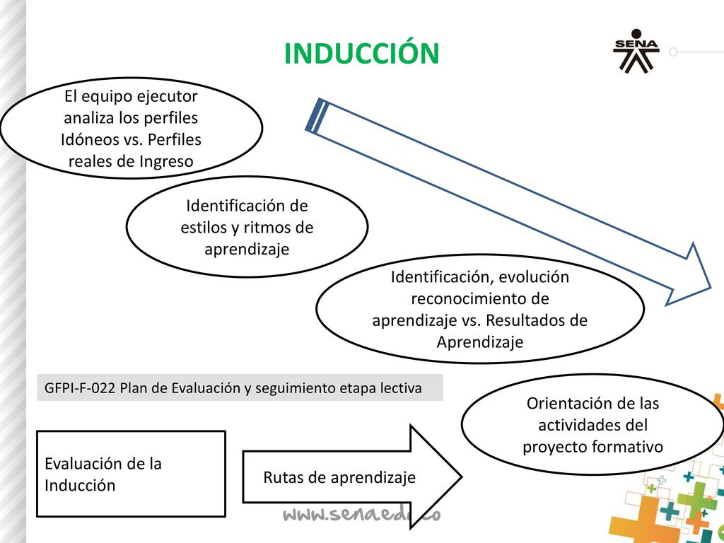 INDUCCIÓN El equipo ejecutor analiza los perfiles Idóneos vs. Perfiles reales de Ingreso. Identificación de estilos y ritmos de aprendizaje.