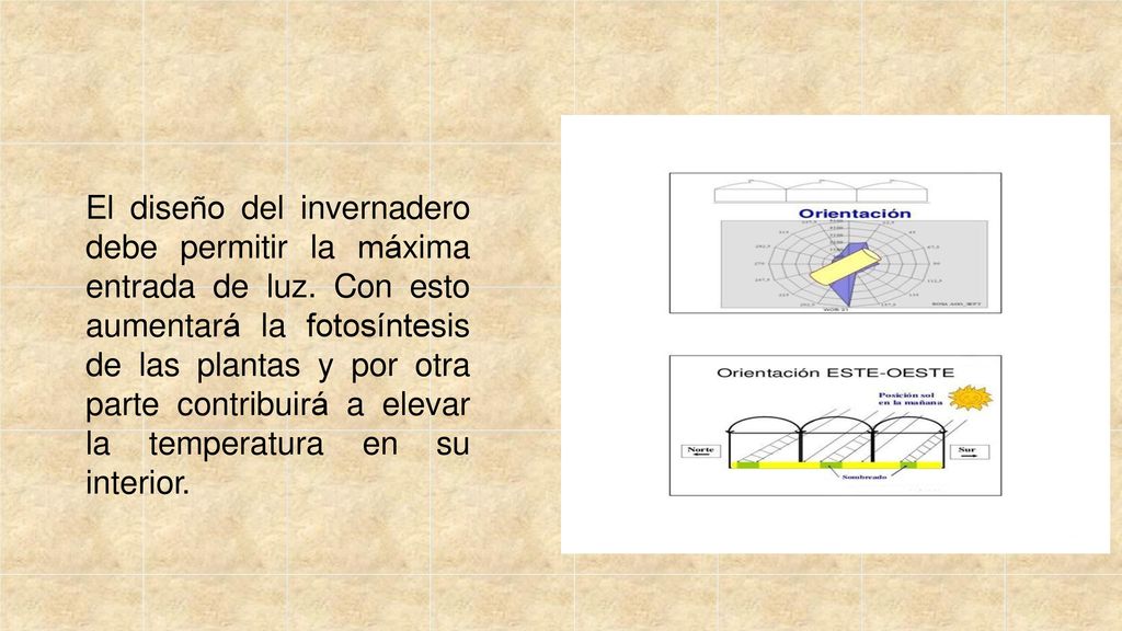 El diseño del invernadero debe permitir la máxima entrada de luz