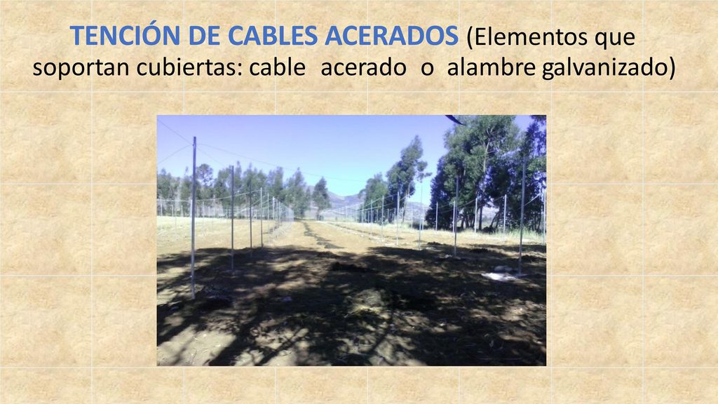 TENCIÓN DE CABLES ACERADOS (Elementos que soportan cubiertas: cable