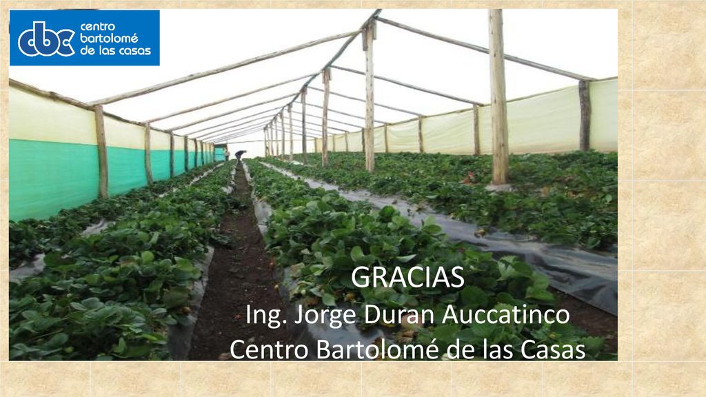 GRACIAS Ing. Jorge Duran Auccatinco Centro Bartolomé de las Casas