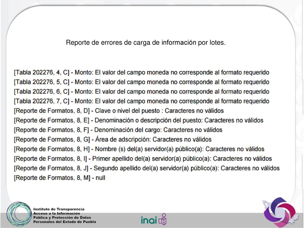 Reporte de errores de carga de información por lotes.