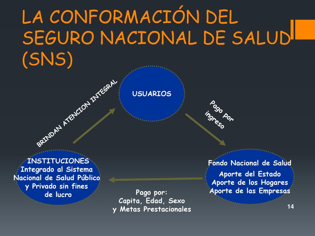 LA CONFORMACIÓN DEL SEGURO NACIONAL DE SALUD (SNS)‏