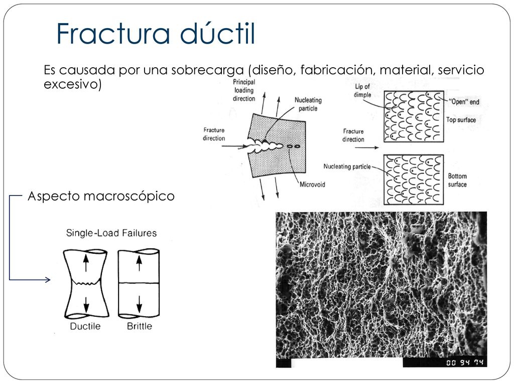 Fractura dúctil Es causada por una sobrecarga (diseño, fabricación, material, servicio excesivo) Aspecto macroscópico.