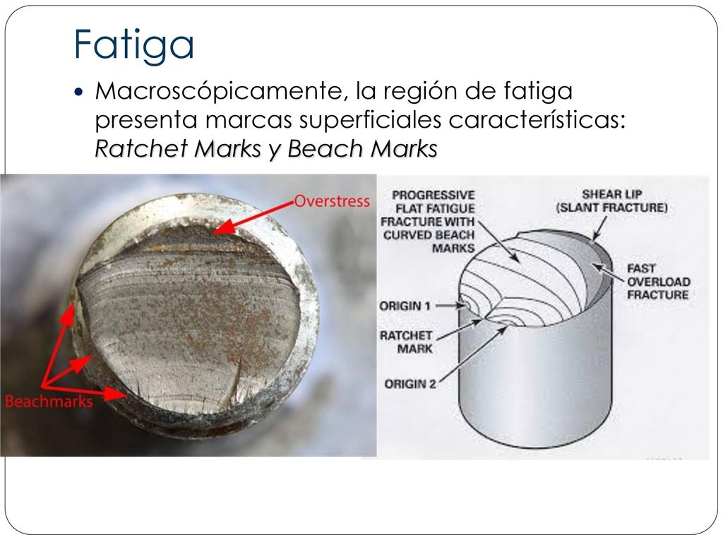 Fatiga Macroscópicamente, la región de fatiga presenta marcas superficiales características: Ratchet Marks y Beach Marks.