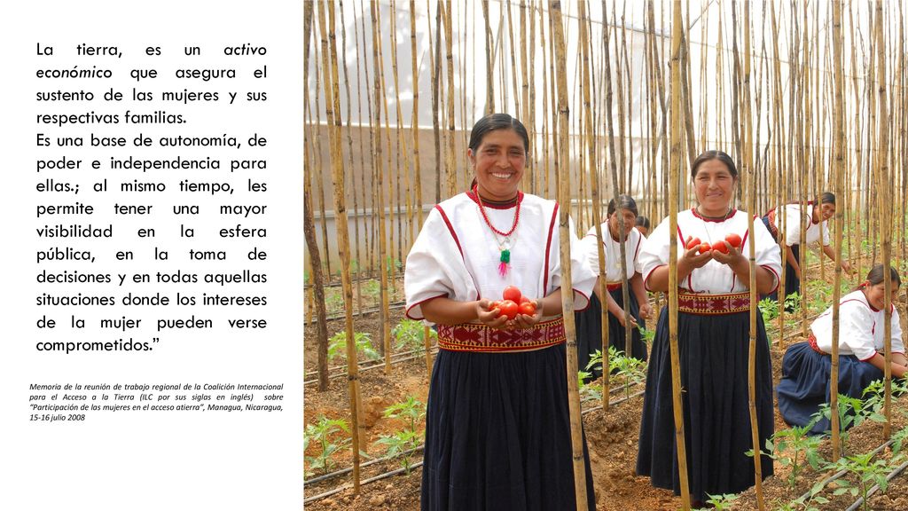 La tierra, es un activo económico que asegura el sustento de las mujeres y sus respectivas familias.