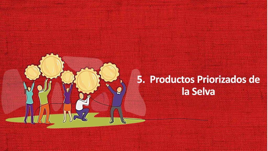 5. Productos Priorizados de la Selva