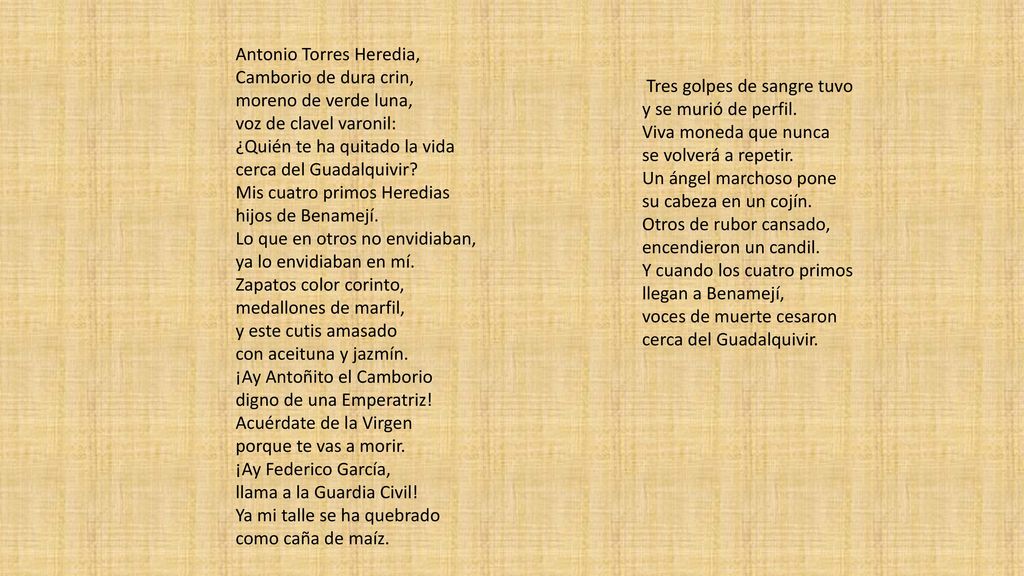 Antonio Torres Heredia, Camborio de dura crin, moreno de verde luna, voz de clavel varonil: ¿Quién te ha quitado la vida cerca del Guadalquivir Mis cuatro primos Heredias hijos de Benamejí. Lo que en otros no envidiaban, ya lo envidiaban en mí. Zapatos color corinto, medallones de marfil, y este cutis amasado con aceituna y jazmín. ¡Ay Antoñito el Camborio digno de una Emperatriz! Acuérdate de la Virgen porque te vas a morir. ¡Ay Federico García, llama a la Guardia Civil! Ya mi talle se ha quebrado como caña de maíz.