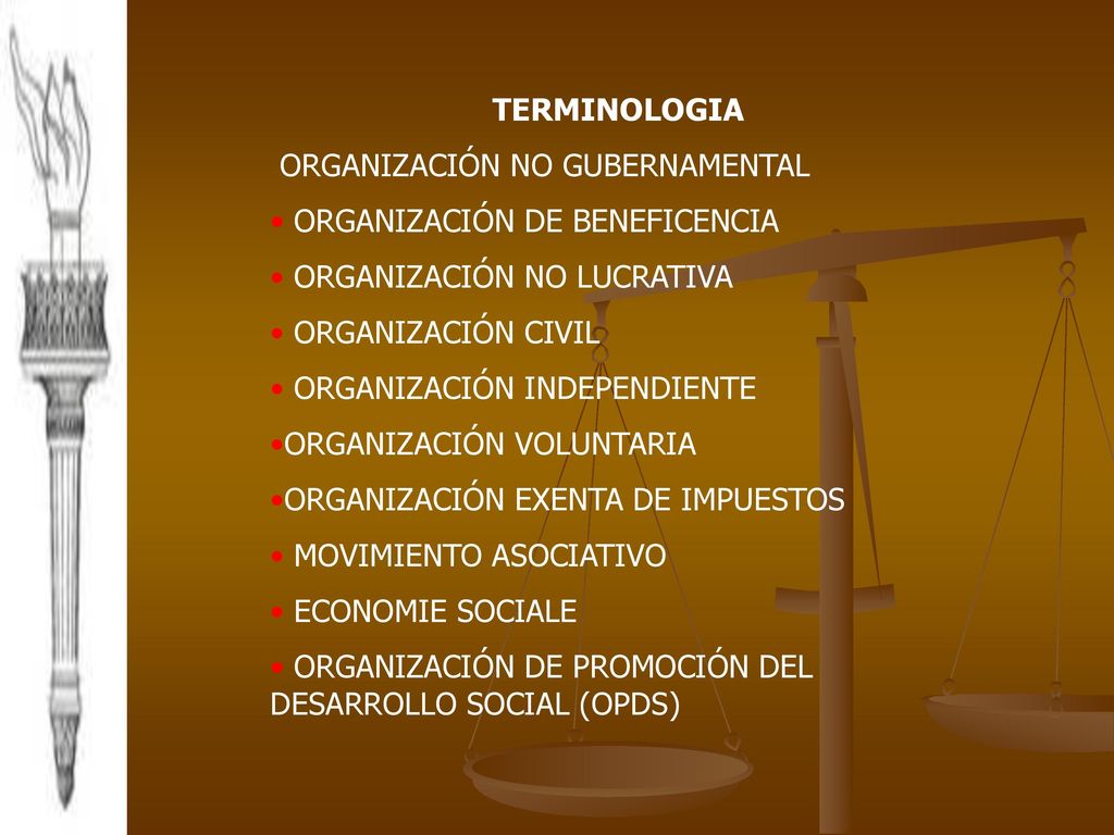 TERMINOLOGIA ORGANIZACIÓN NO GUBERNAMENTAL. ORGANIZACIÓN DE BENEFICENCIA. ORGANIZACIÓN NO LUCRATIVA.