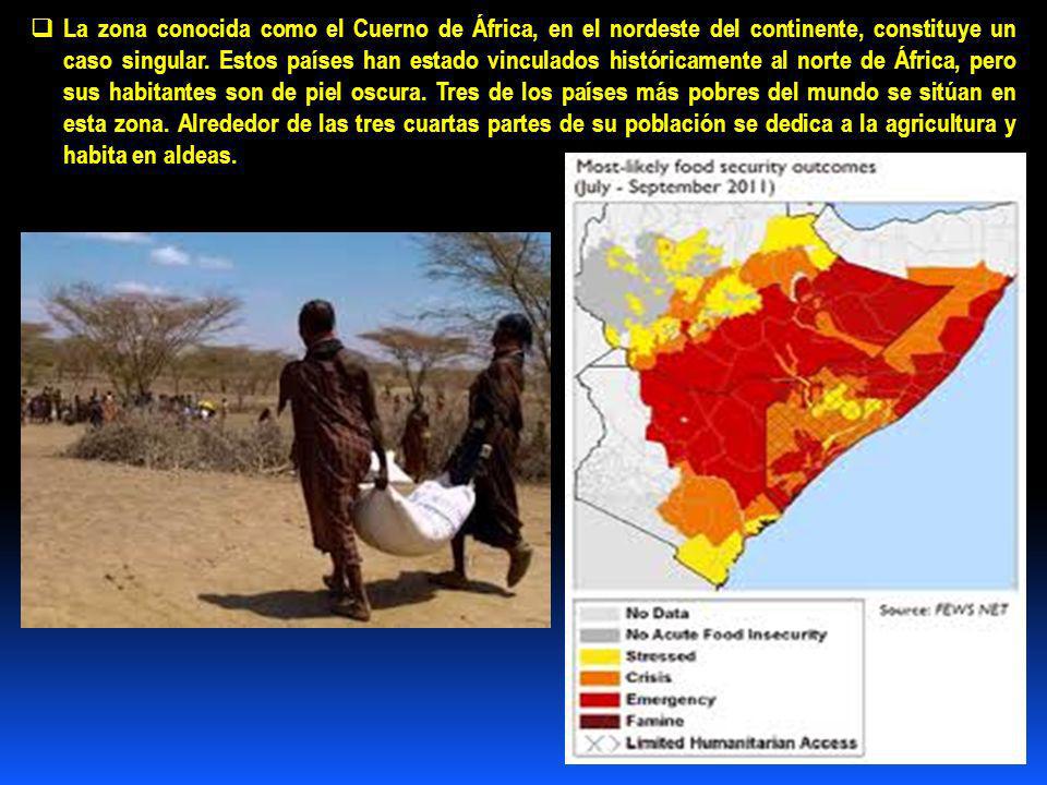 La zona conocida como el Cuerno de África, en el nordeste del continente, constituye un caso singular.