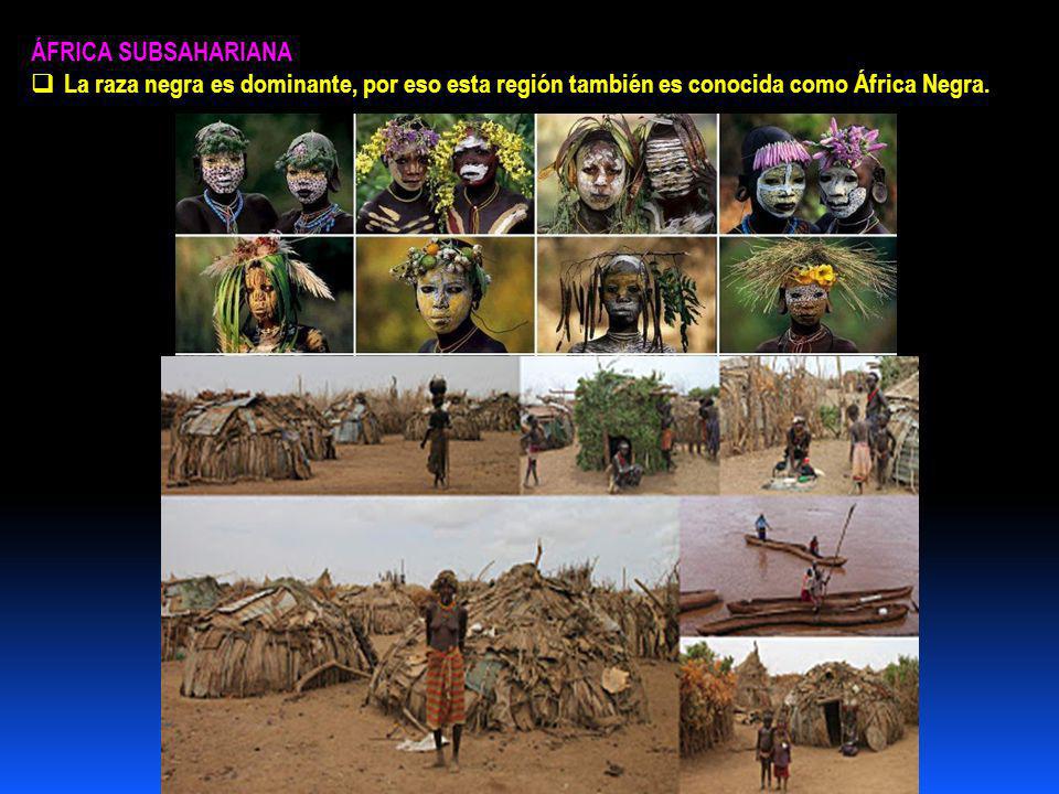 ÁFRICA SUBSAHARIANA La raza negra es dominante, por eso esta región también es conocida como África Negra.