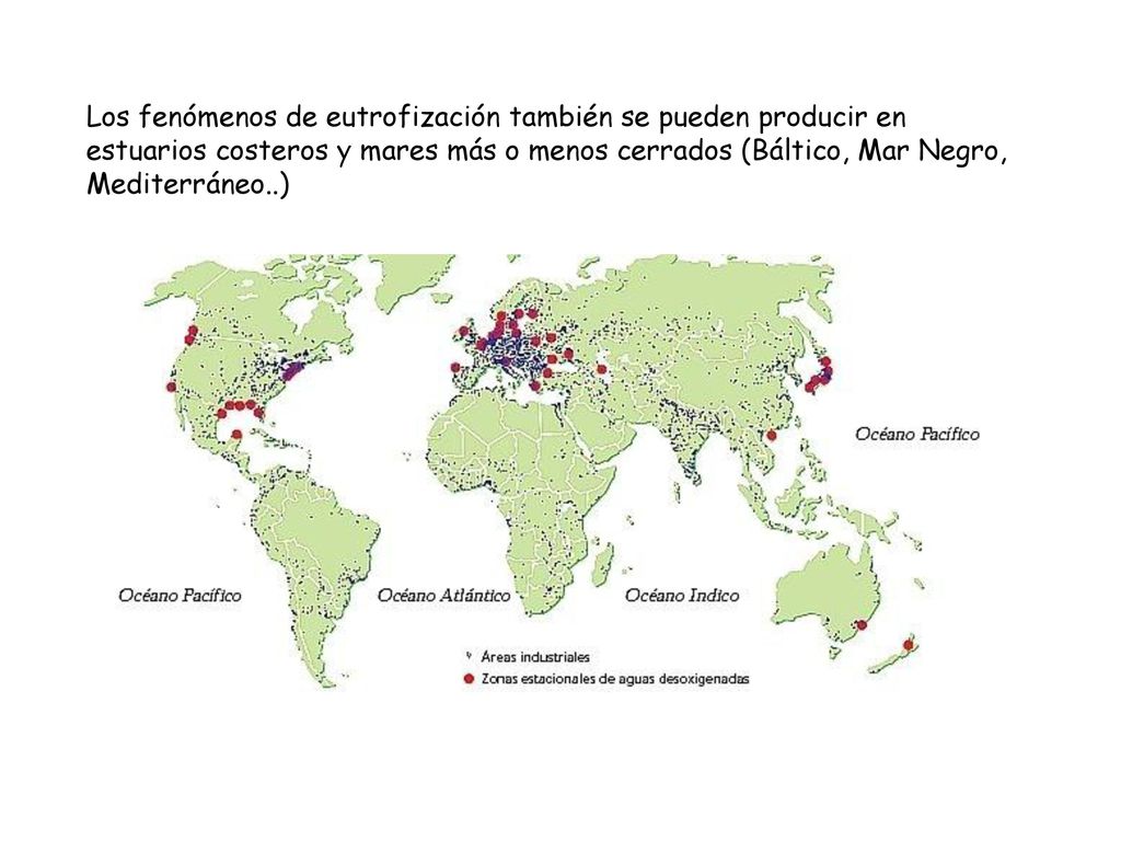 Los fenómenos de eutrofización también se pueden producir en estuarios costeros y mares más o menos cerrados (Báltico, Mar Negro, Mediterráneo..)