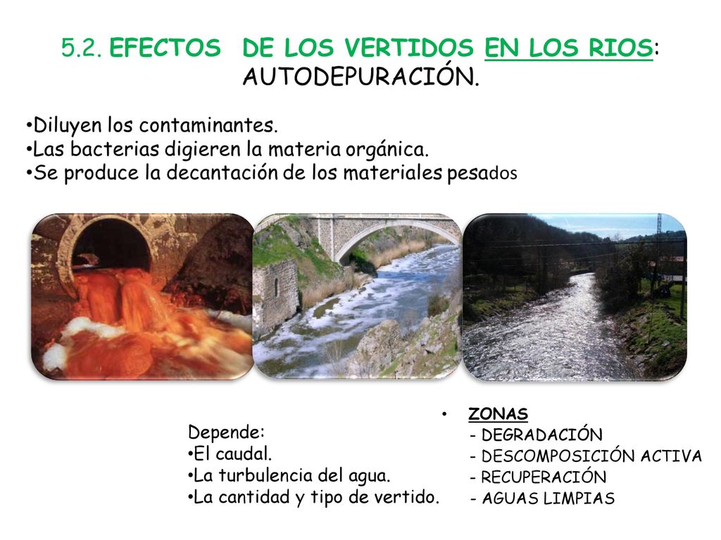 La turbulencia del agua. La cantidad y tipo de vertido.