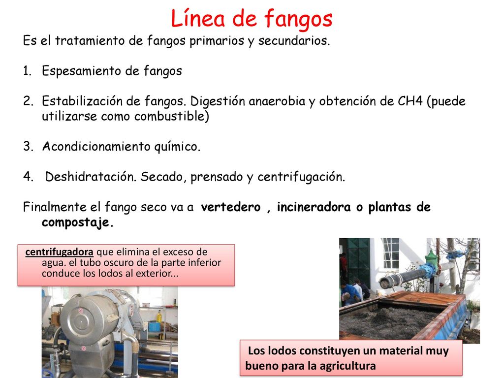 Línea de fangos Es el tratamiento de fangos primarios y secundarios.