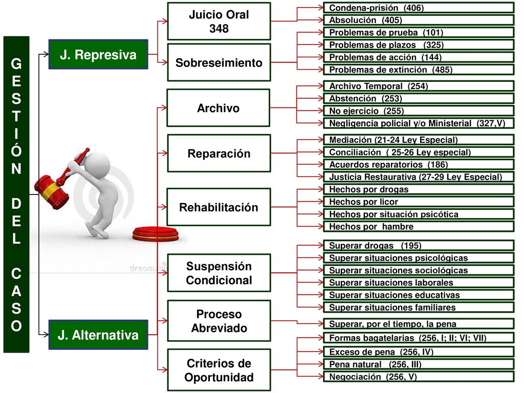 G E S T I Ó N DE L C A O J. Represiva J. Alternativa Juicio Oral 348