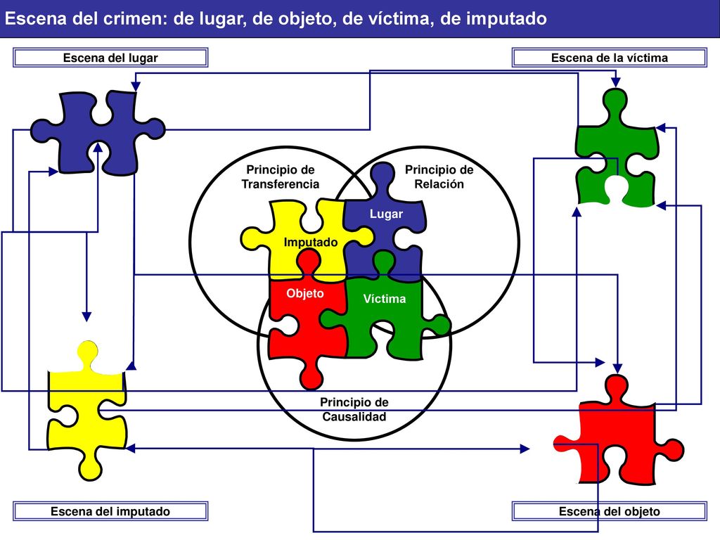 Escena del crimen: de lugar, de objeto, de víctima, de imputado