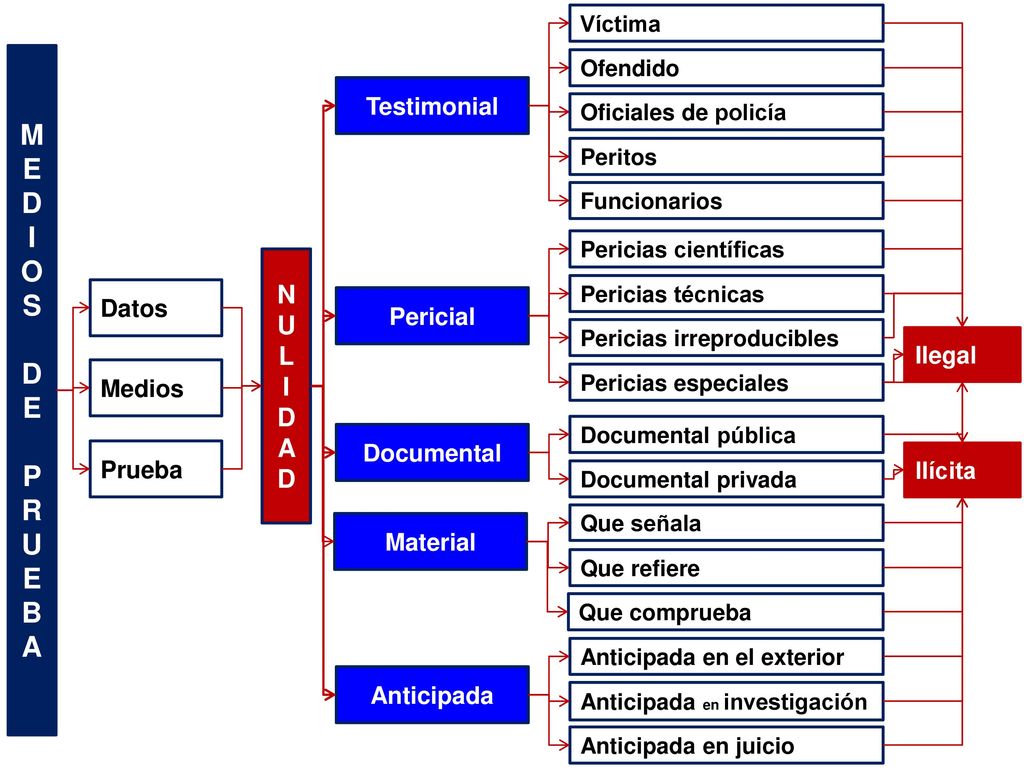 M E D I O S P R U B A N U L I D A Testimonial Datos Pericial Ilegal