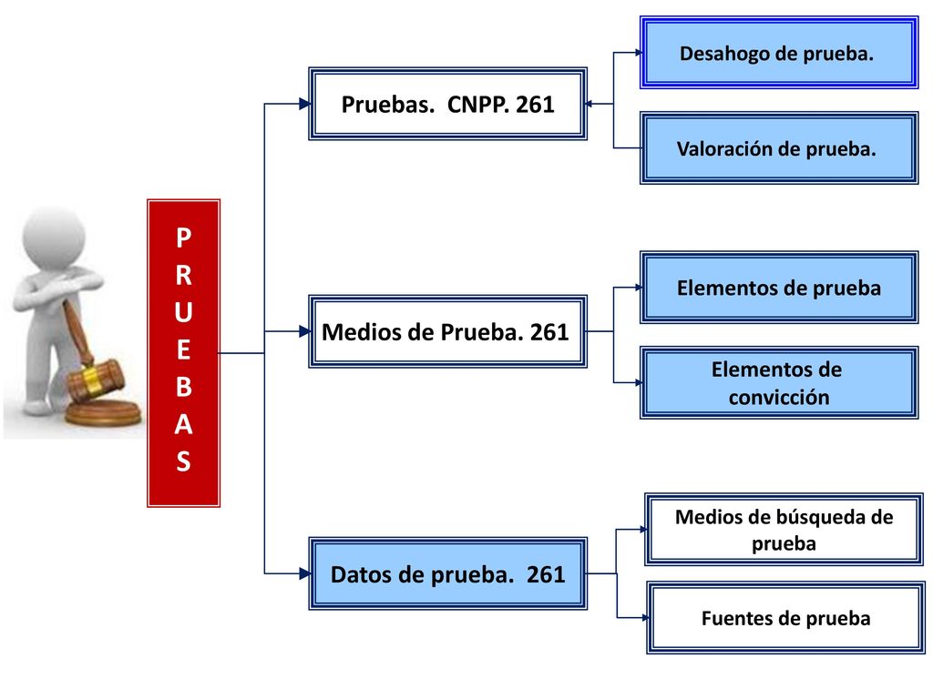P R U E B A S Pruebas. CNPP. 261 Medios de Prueba. 261