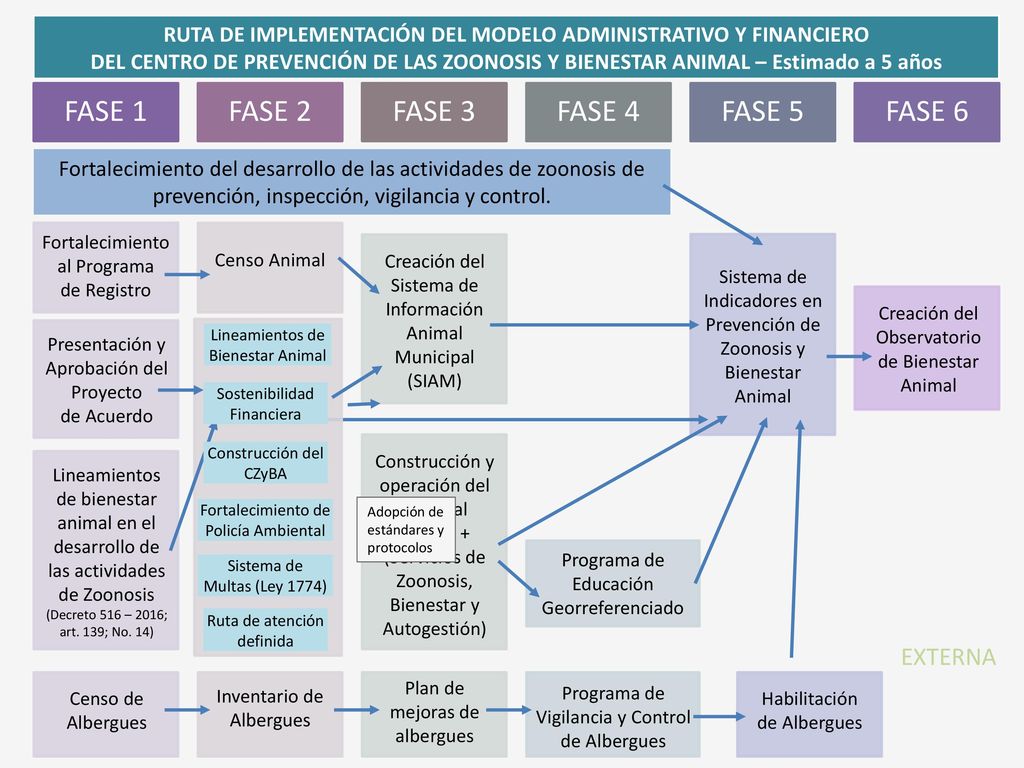 FASE 1 FASE 2 FASE 3 FASE 4 FASE 5 FASE 6 EXTERNA