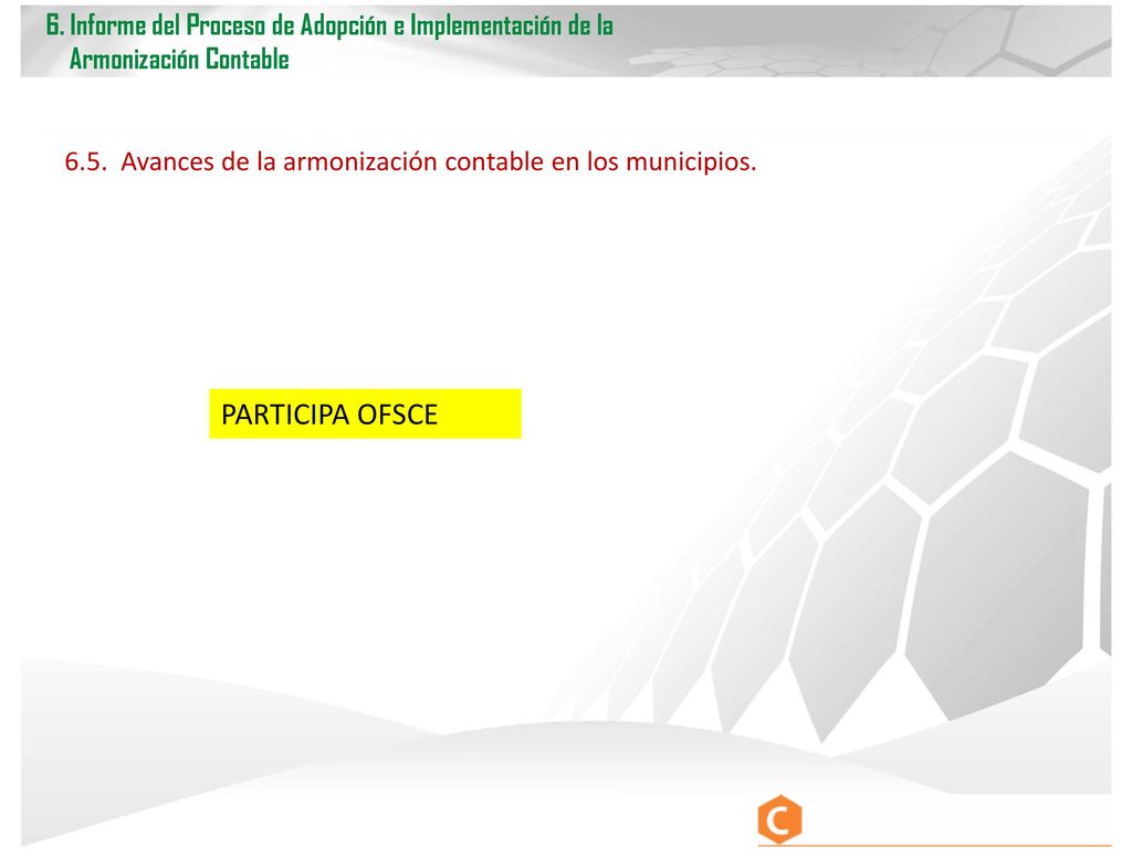 6. Informe del Proceso de Adopción e Implementación de la