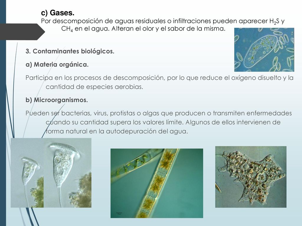 c) Gases. Por descomposición de aguas residuales o infiltraciones pueden aparecer H2S y CH4 en el agua. Alteran el olor y el sabor de la misma.