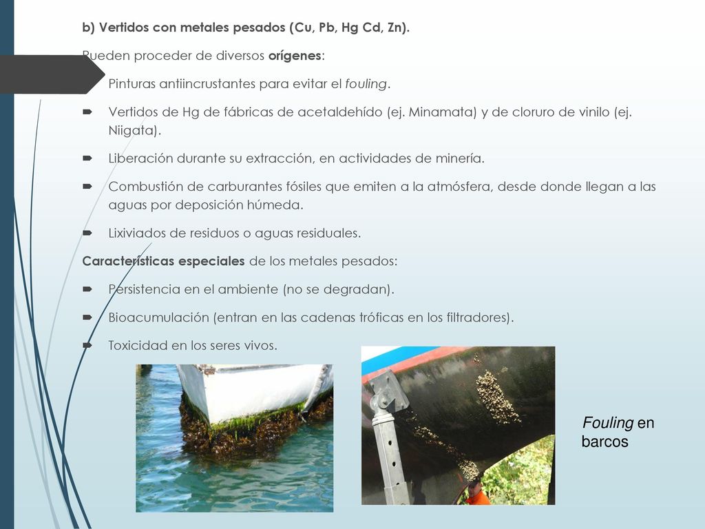 Fouling en barcos b) Vertidos con metales pesados (Cu, Pb, Hg Cd, Zn).