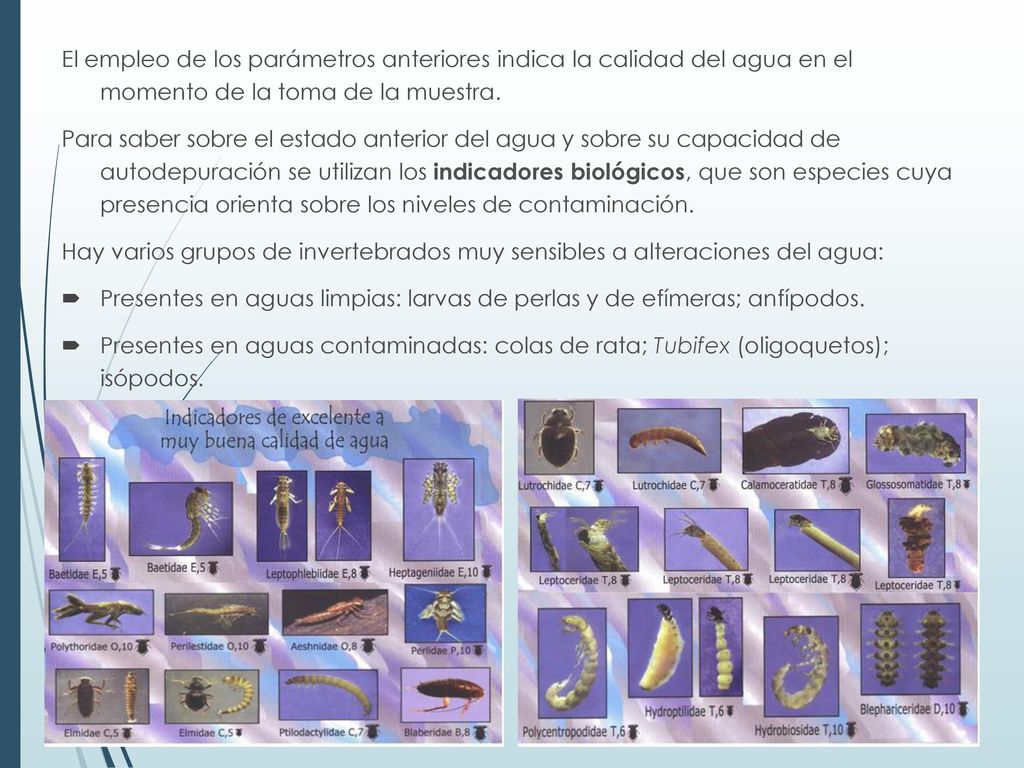 El empleo de los parámetros anteriores indica la calidad del agua en el momento de la toma de la muestra.