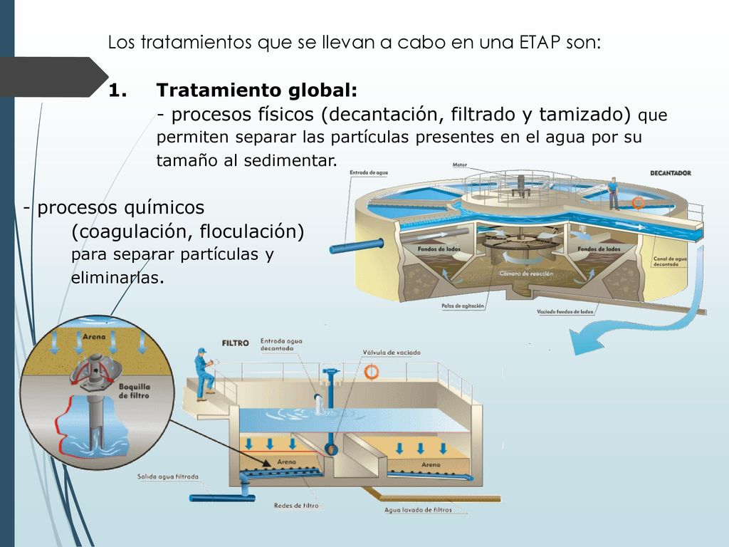 Los tratamientos que se llevan a cabo en una ETAP son: