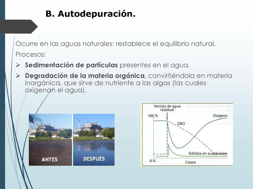 B. Autodepuración. Ocurre en las aguas naturales: restablece el equilibrio natural. Procesos: Sedimentación de partículas presentes en el agua.