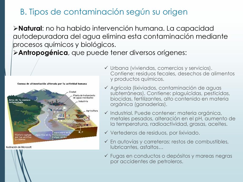 B. Tipos de contaminación según su origen