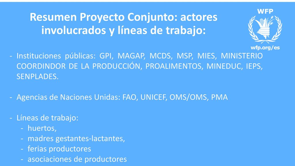 Resumen Proyecto Conjunto: actores involucrados y líneas de trabajo: