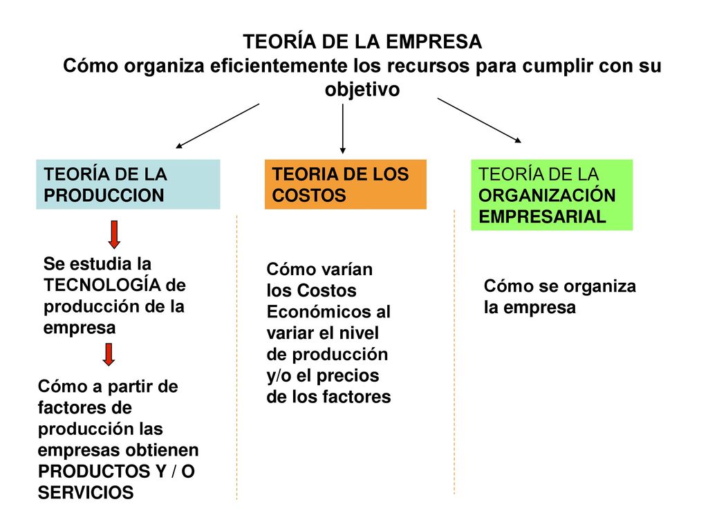 TEORÍA DE LA EMPRESA Cómo organiza eficientemente los recursos para cumplir con su objetivo