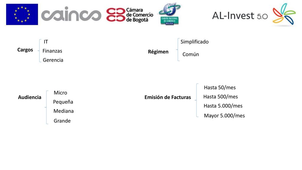 IT Simplificado. Cargos. Finanzas. Régimen. Común. Gerencia. Hasta 50/mes. Micro. Audiencia.