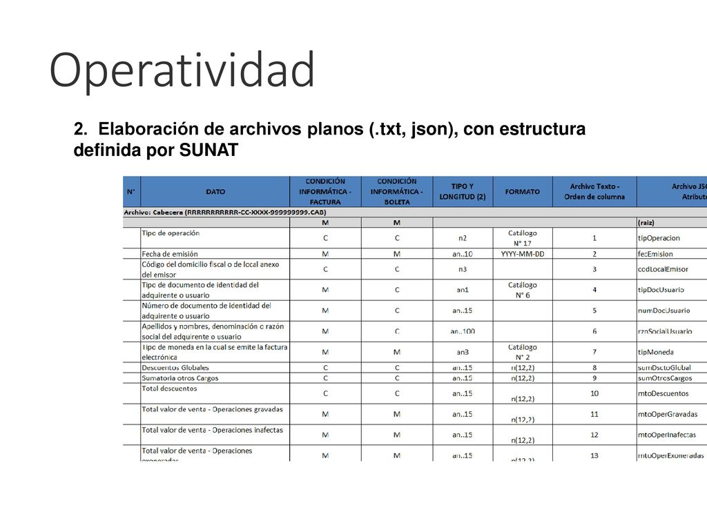 Operatividad 2. Elaboración de archivos planos (.txt, json), con estructura definida por SUNAT