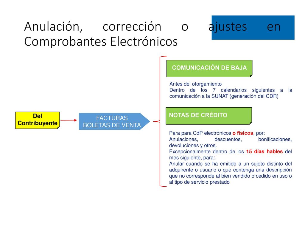 Anulación, corrección o ajustes en Comprobantes Electrónicos