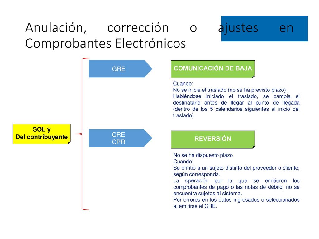 Anulación, corrección o ajustes en Comprobantes Electrónicos