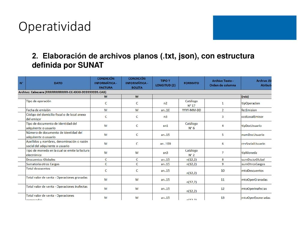 Operatividad 2. Elaboración de archivos planos (.txt, json), con estructura definida por SUNAT