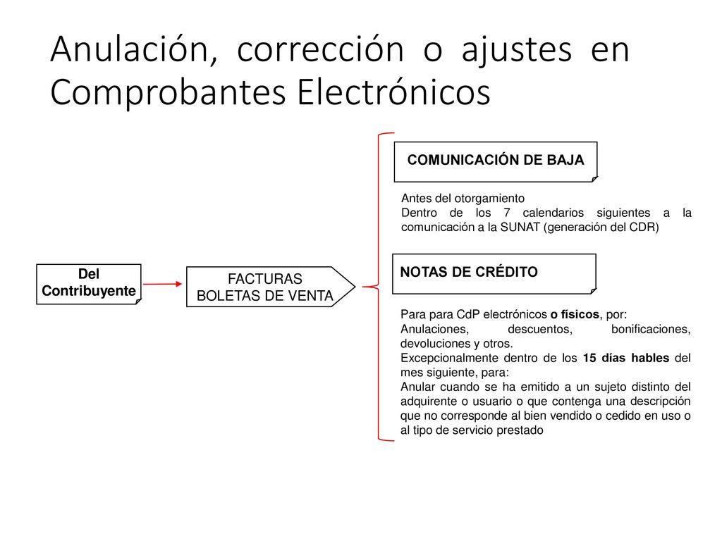 Anulación, corrección o ajustes en Comprobantes Electrónicos