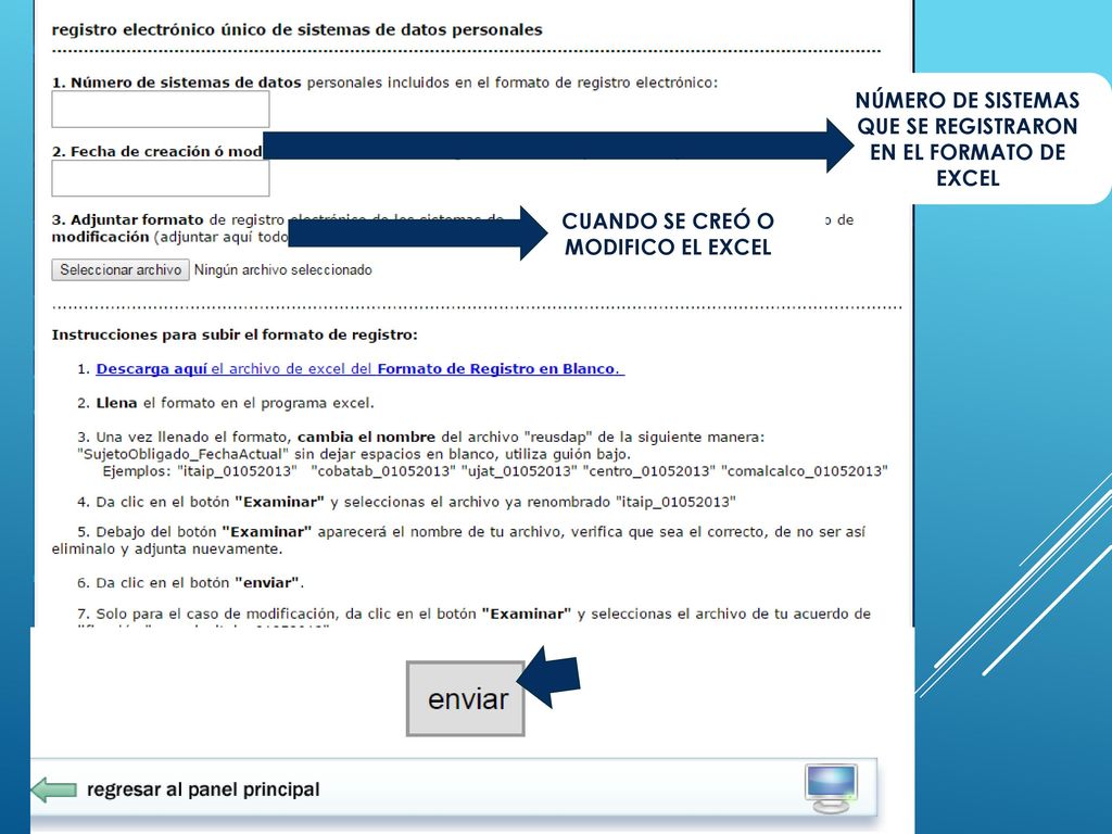 NÚMERO DE SISTEMAS QUE SE REGISTRARON EN EL FORMATO DE EXCEL
