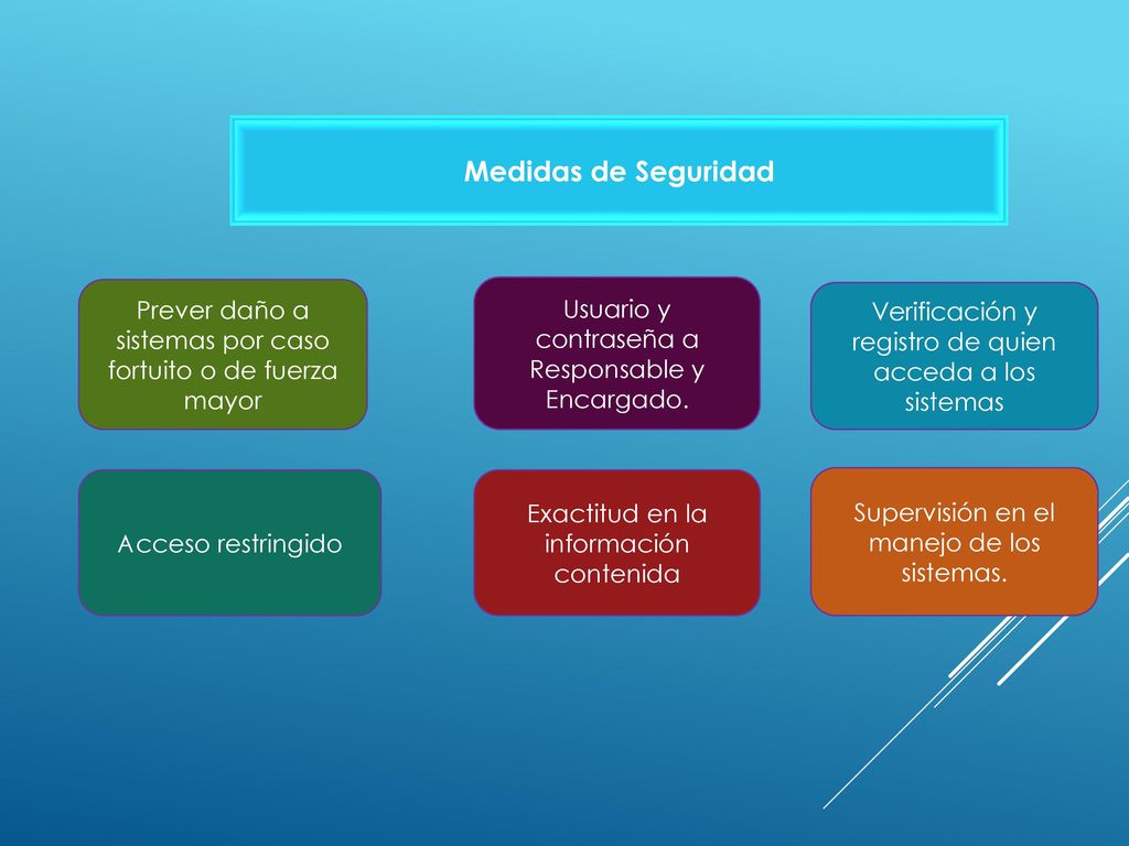 Medidas de Seguridad Prever daño a sistemas por caso fortuito o de fuerza mayor. Usuario y contraseña a Responsable y Encargado.