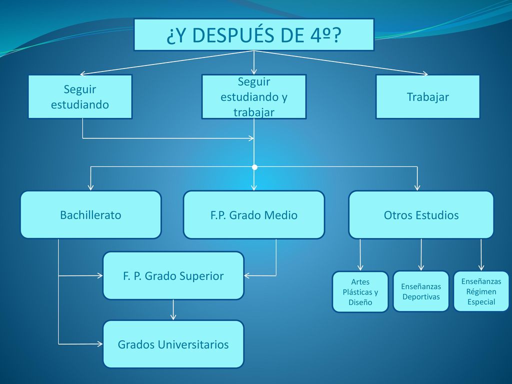 ¿Y DESPUÉS DE 4º Seguir estudiando Seguir estudiando y trabajar