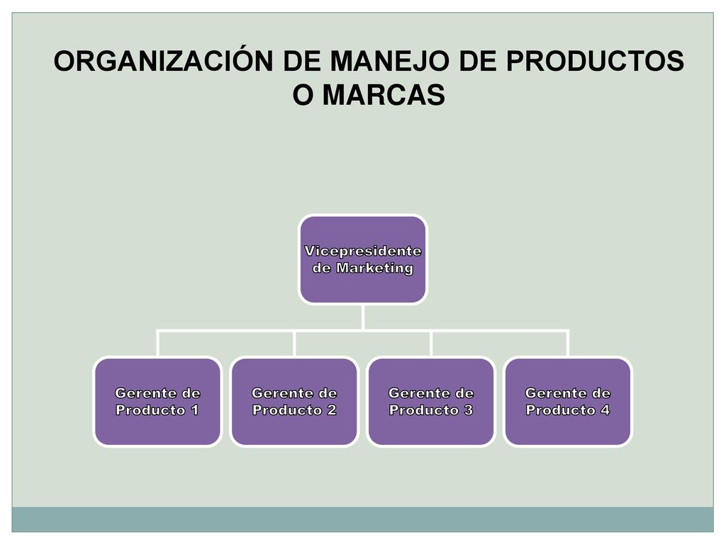 ORGANIZACIÓN DE MANEJO DE PRODUCTOS O MARCAS