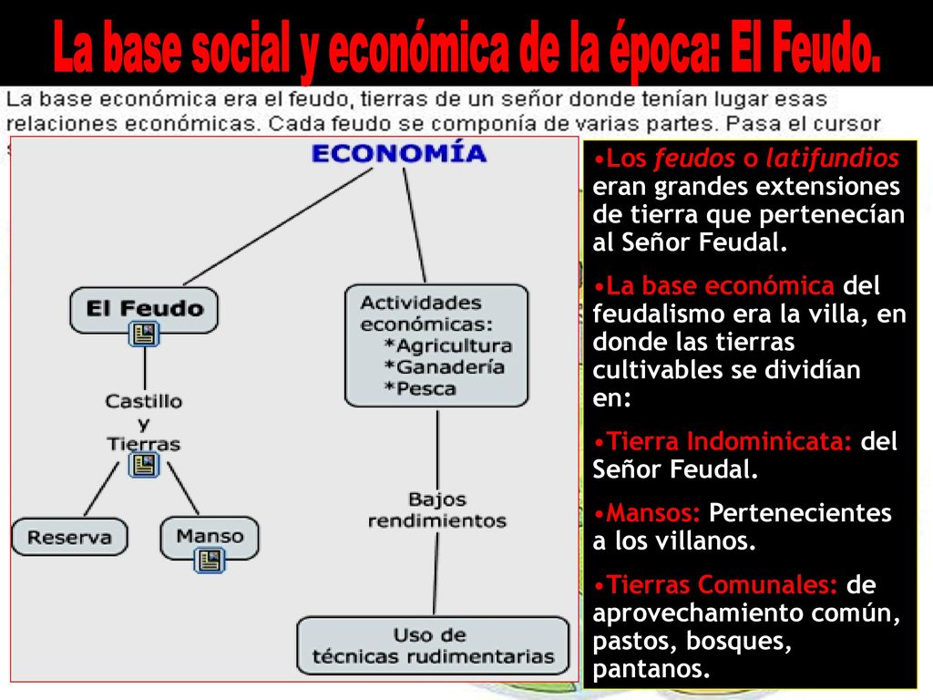 La base social y económica de la época: El Feudo.