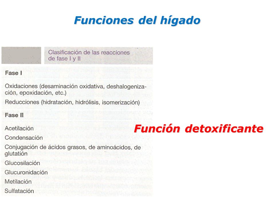 Funciones del hígado Función detoxificante