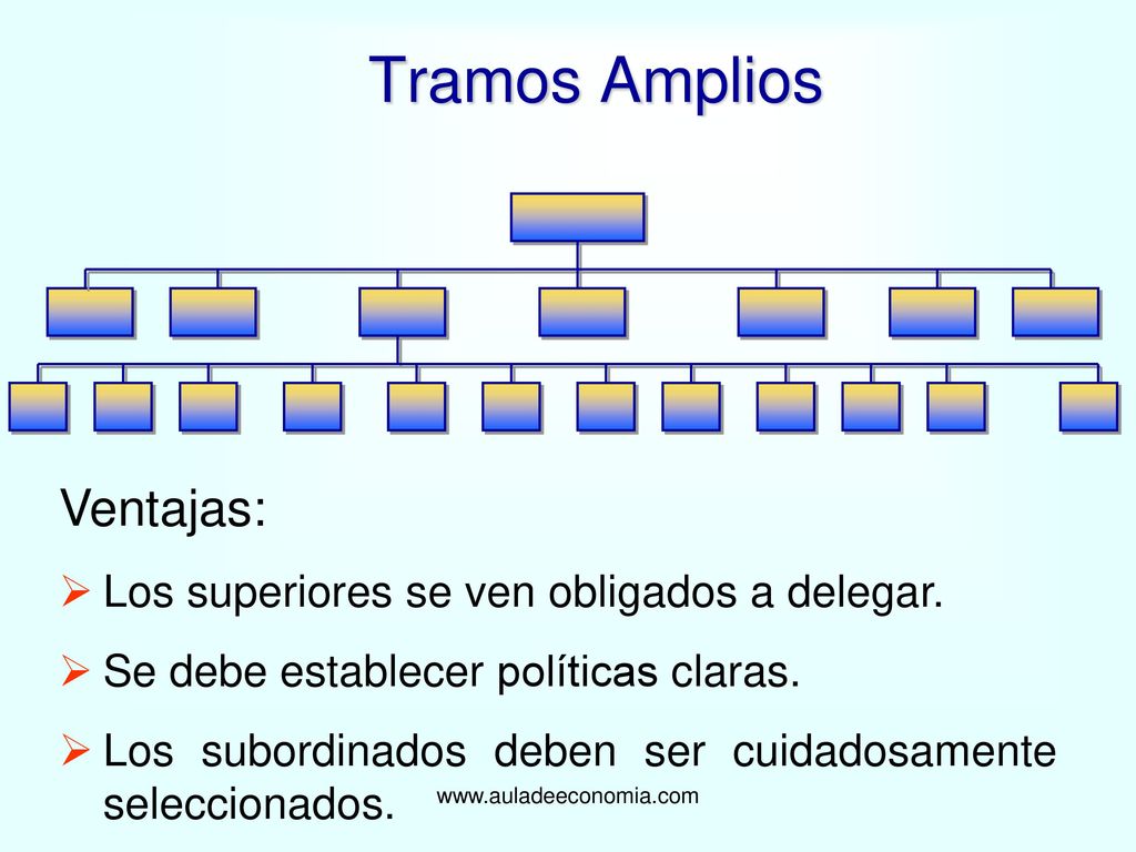 Tramos Amplios Ventajas: Los superiores se ven obligados a delegar.