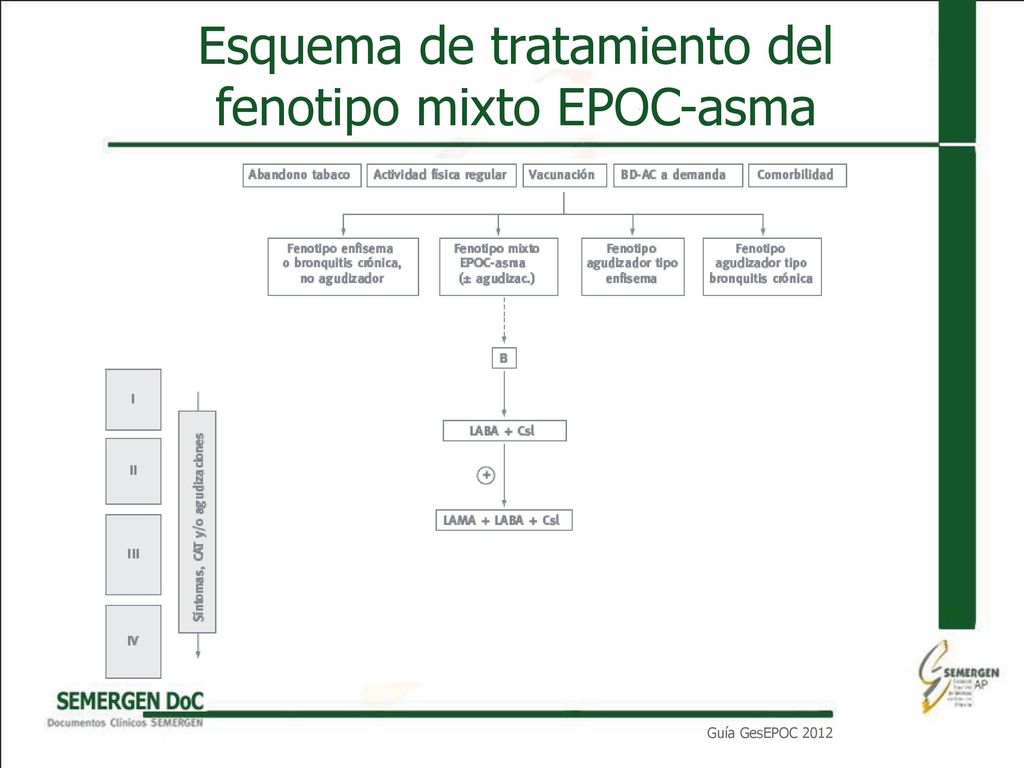 Esquema de tratamiento del fenotipo mixto EPOC-asma